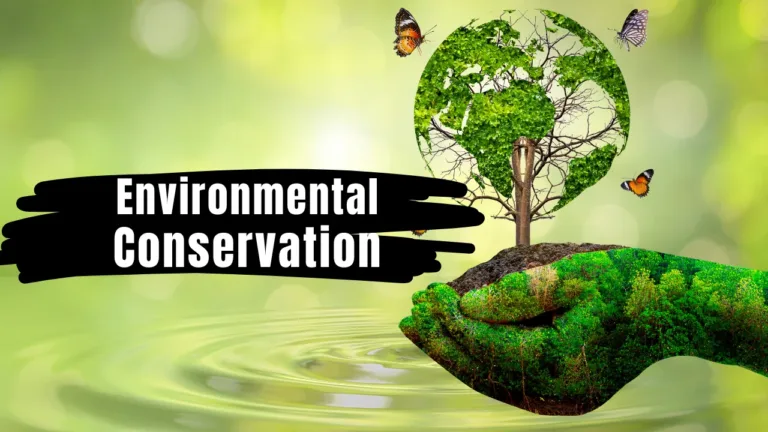 Environmental Conservation: Protection of Nature
