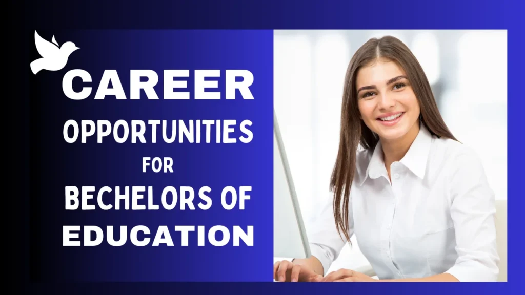 Career Opportunities for Bachelors of Education